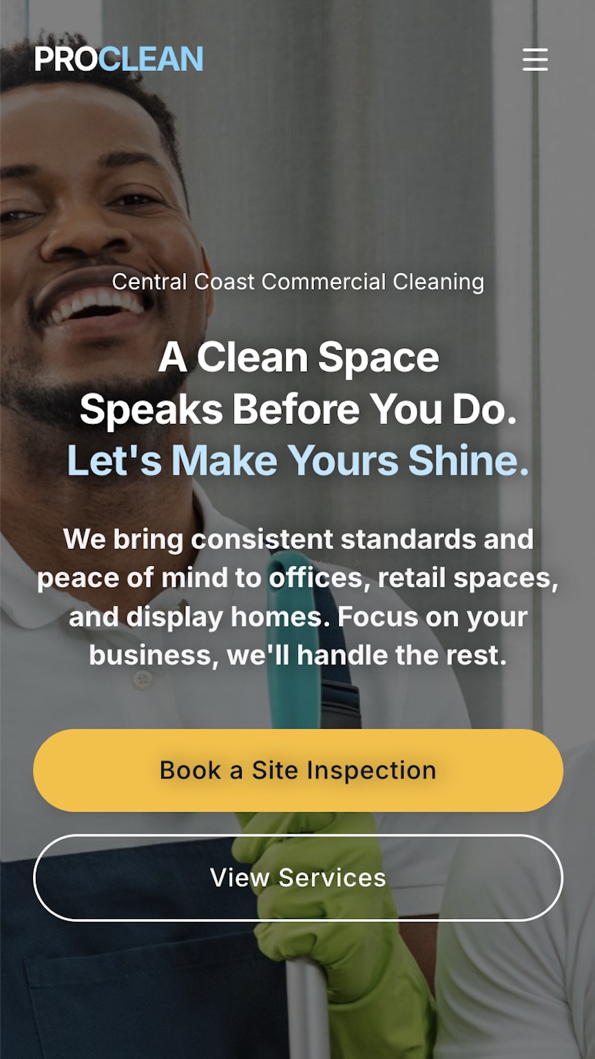 ProClean Website Screenshot